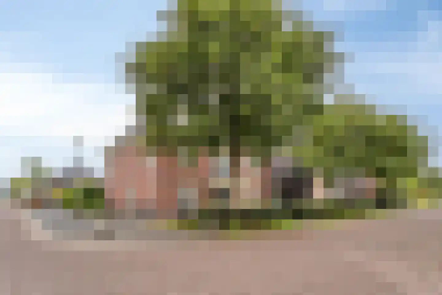 Erik de Rodestraat 30 Almere thumbnail 48