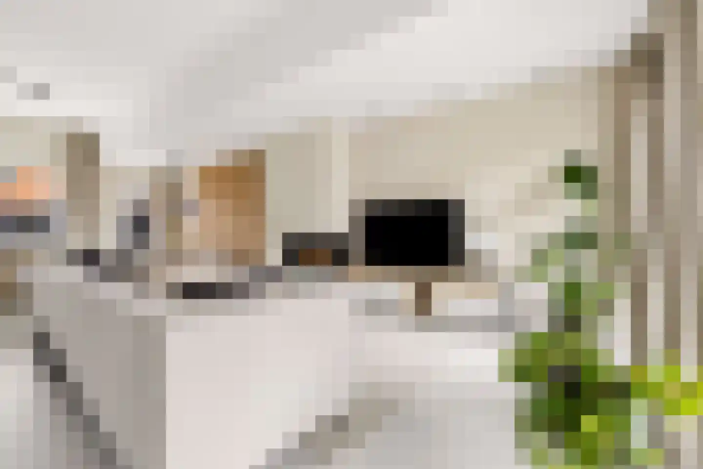Erik de Rodestraat 35 Almere thumbnail 14