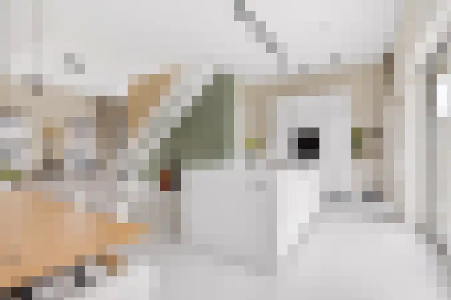 Erik de Rodestraat 35 Almere thumbnail 17