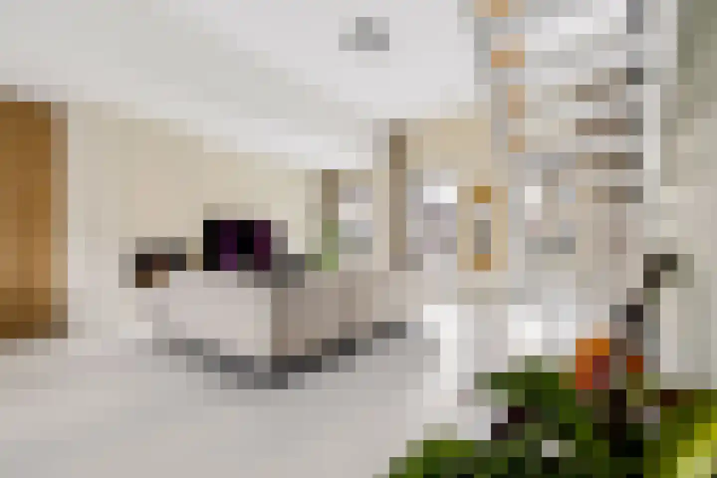 Erik de Rodestraat 35 Almere thumbnail 29