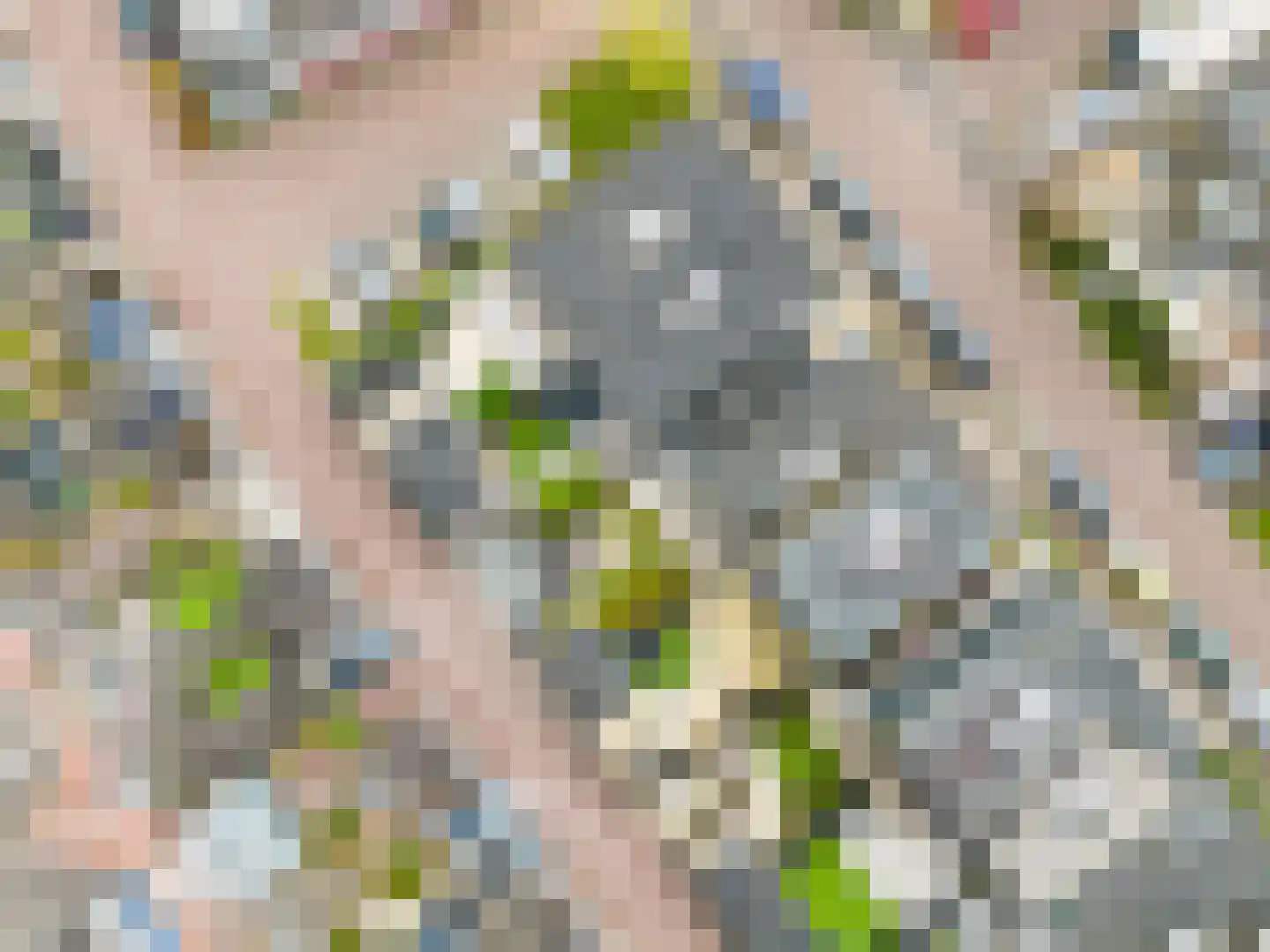 Erik de Rodestraat 35 Almere thumbnail 8