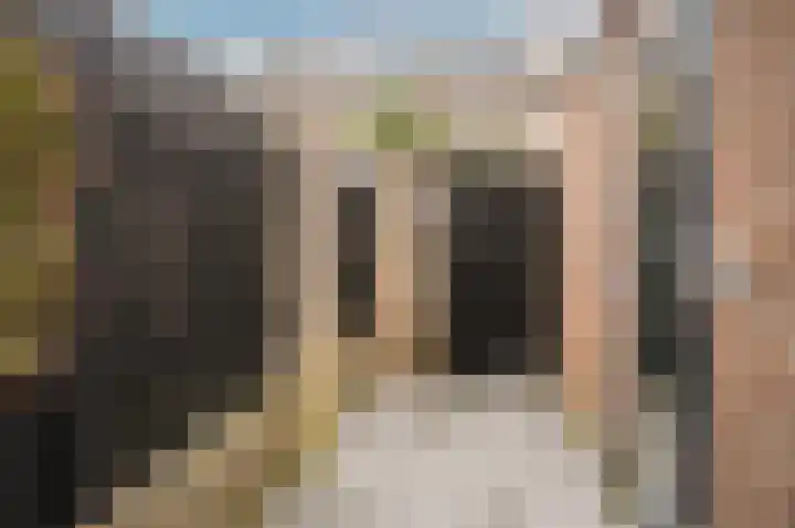 Erik de Rodestraat 35 's-Hertogenbosch thumbnail 39