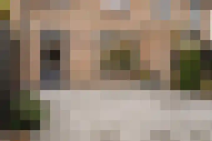 Erik de Rodestraat 35 's-Hertogenbosch thumbnail 40