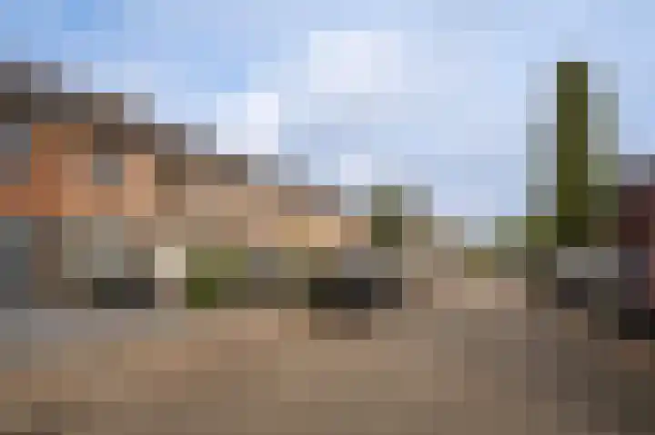 Erik de Rodestraat 35 's-Hertogenbosch thumbnail 5
