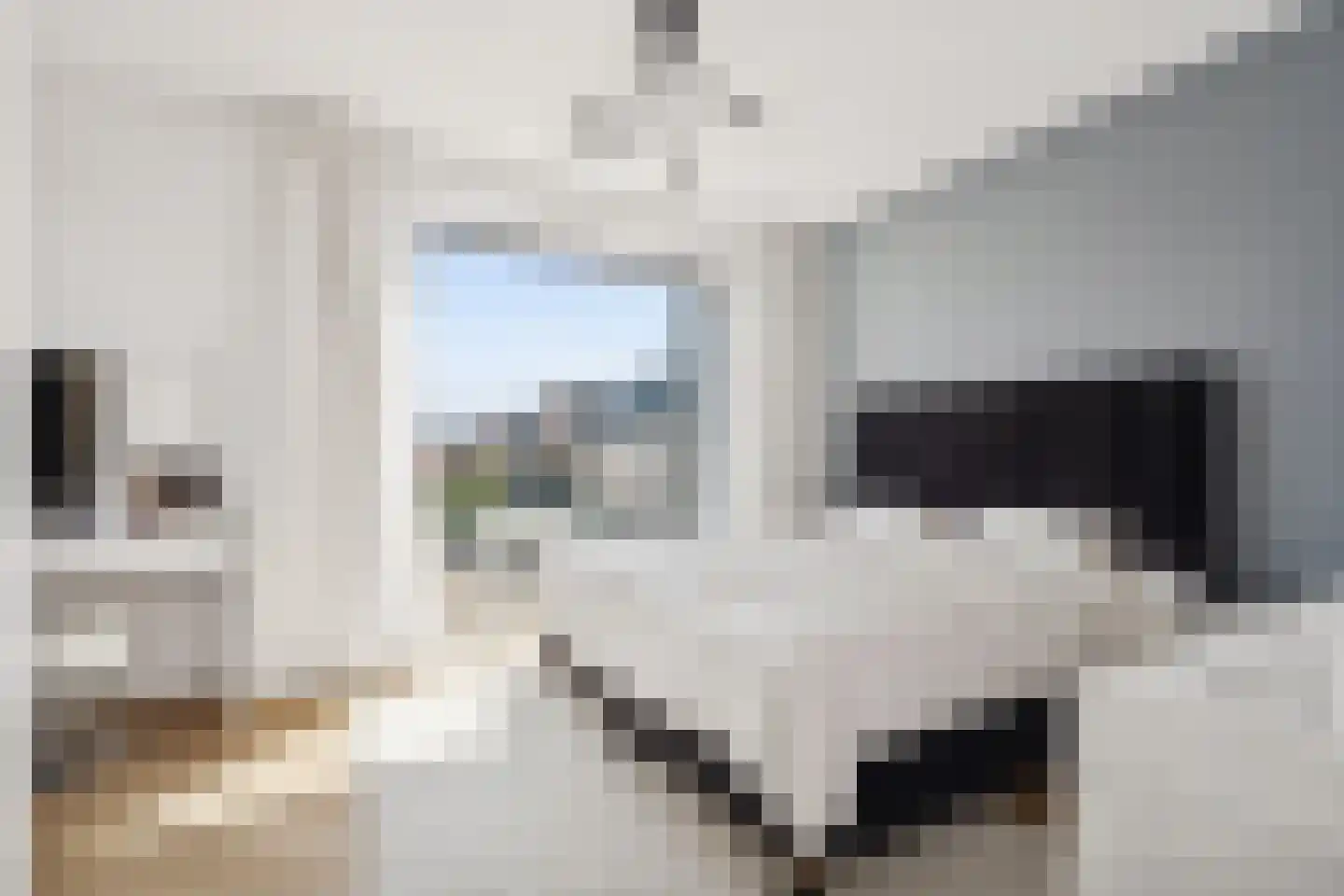 Erik de Rodestraat 39 Almere thumbnail 46