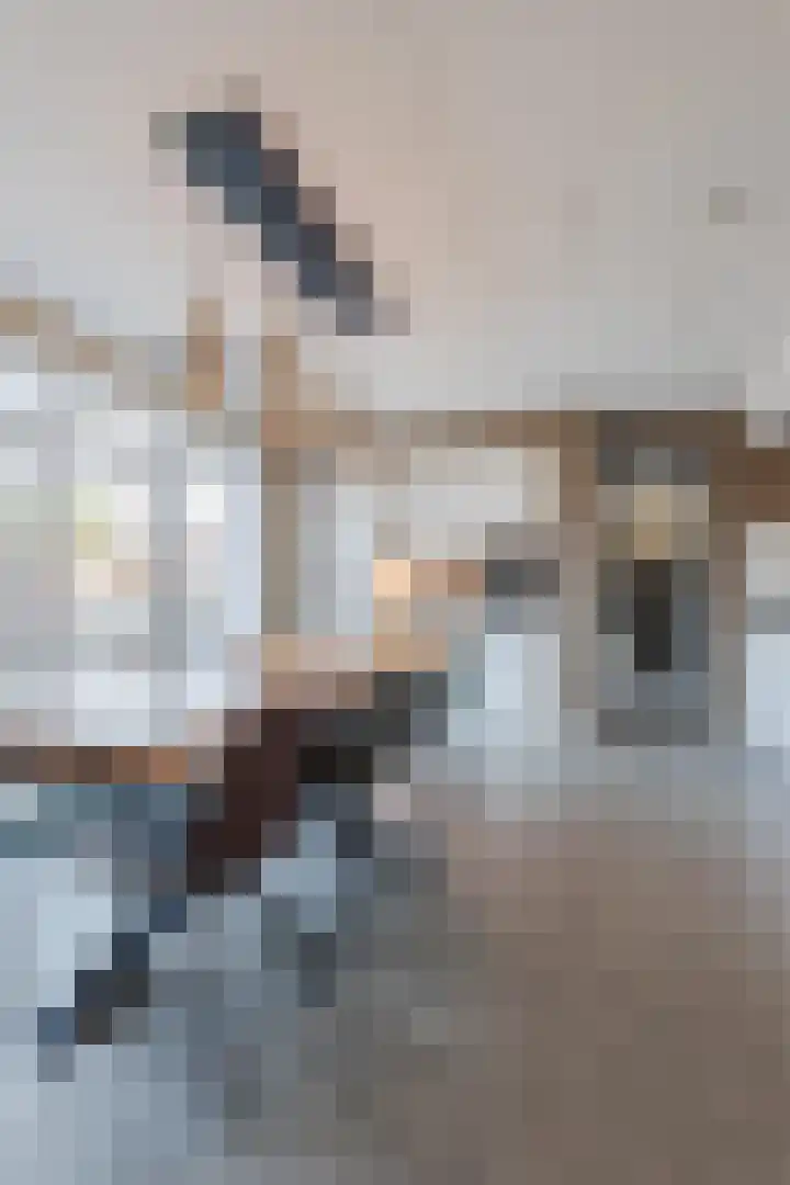 Erik de Rodestraat 47 Almere thumbnail 13