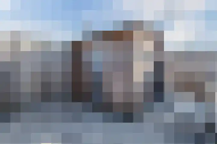Erik de Rodestraat 47 Almere thumbnail 54