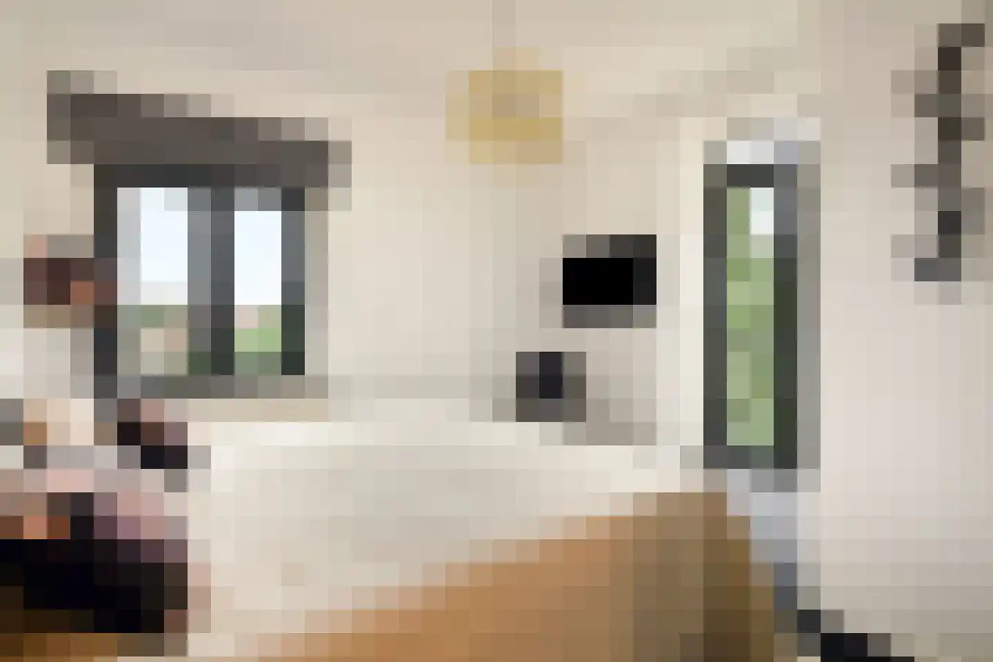 Erik de Roodestraat 23 3 Amsterdam thumbnail 23