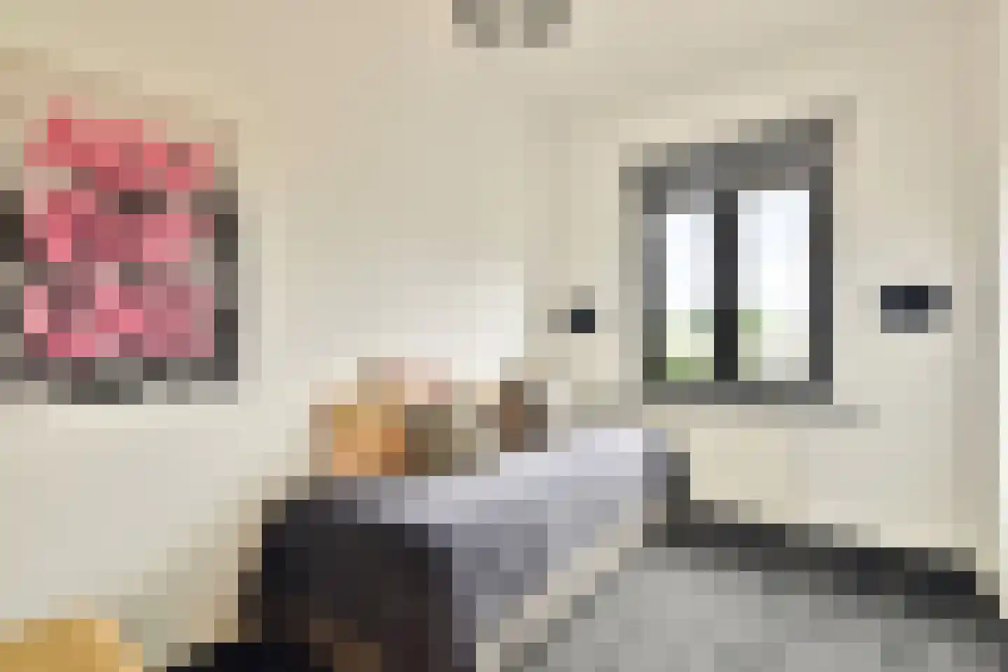Erik de Roodestraat 23 3 Amsterdam thumbnail 27