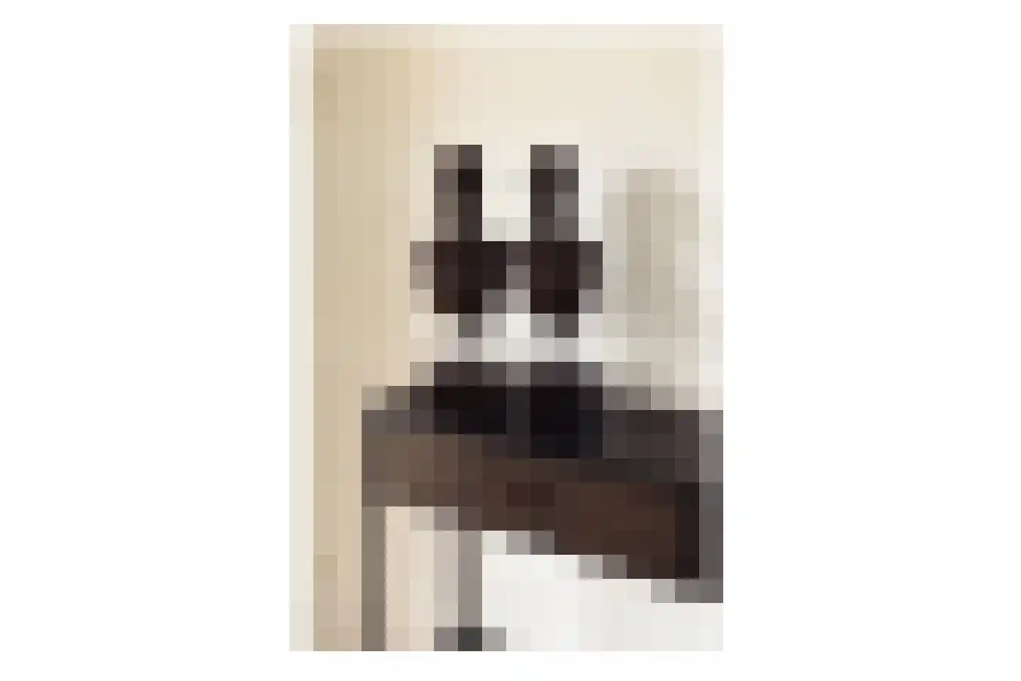 Erik de Roodestraat 23 3 Amsterdam thumbnail 5