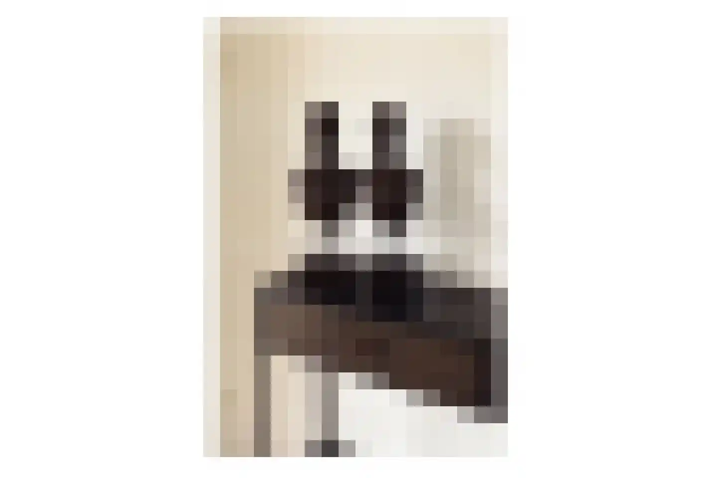 Erik de Roodestraat 23 3 Amsterdam thumbnail 5