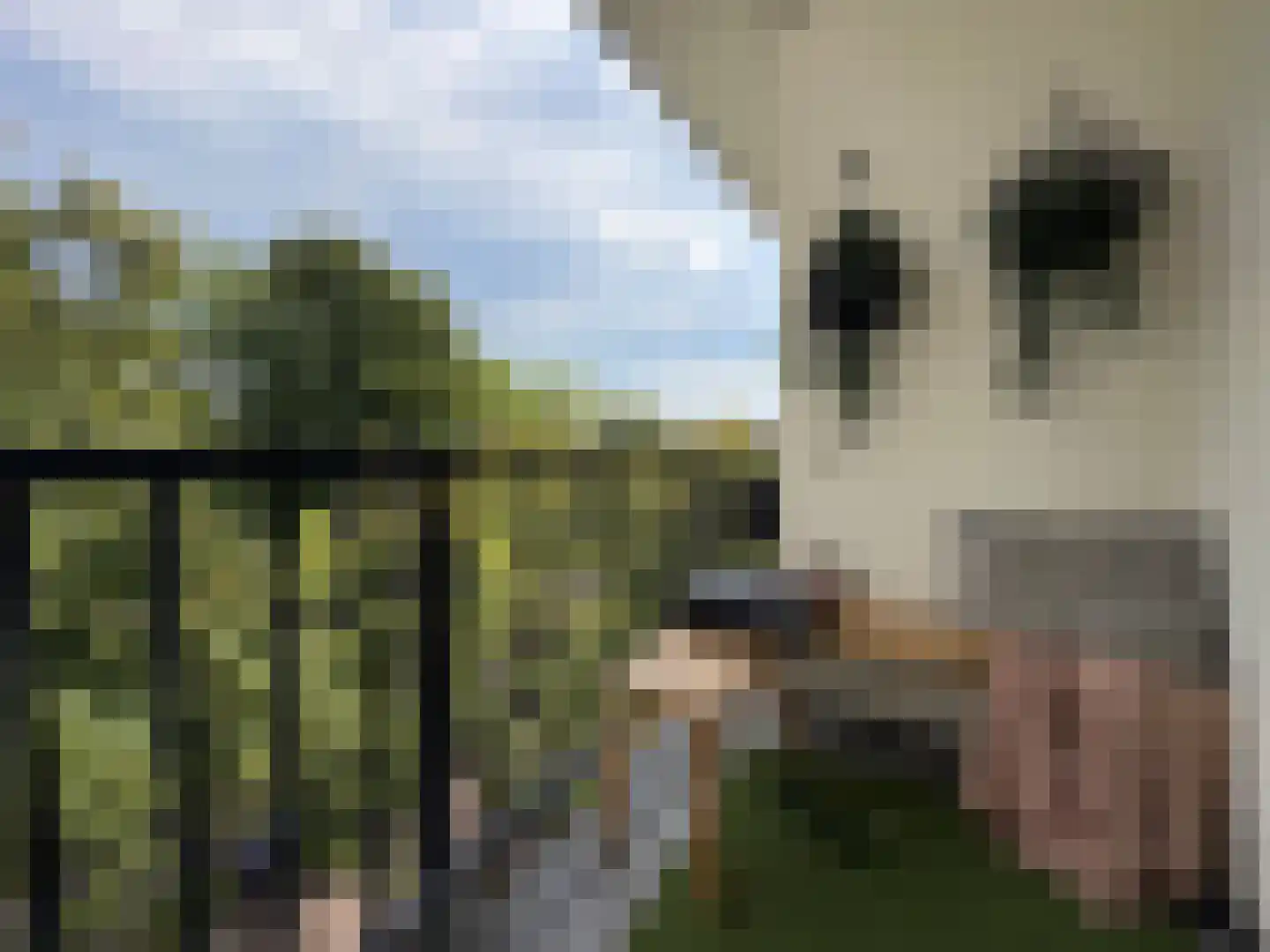 Erik de Roodestraat 23 3 Amsterdam thumbnail 6