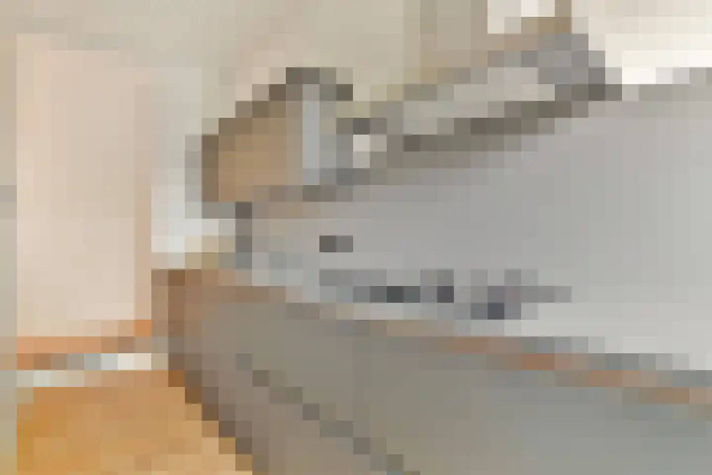 Erik de Roodestraat 23 3 Amsterdam thumbnail 6
