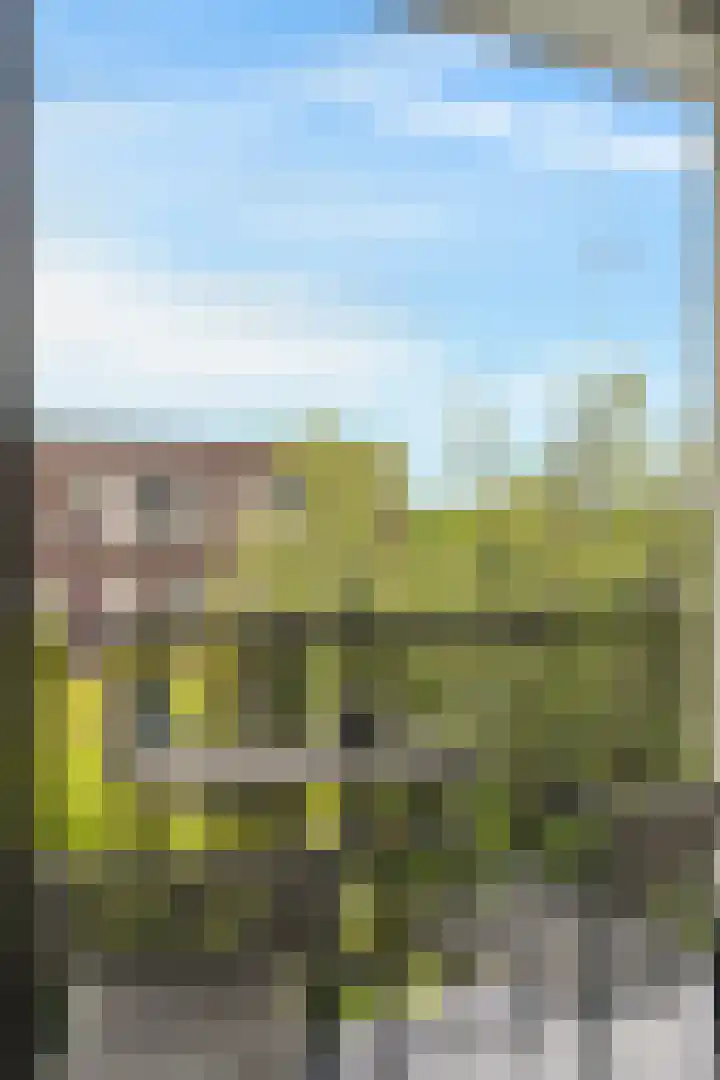 Erik de Roodestraat 3 3 Amsterdam thumbnail 6