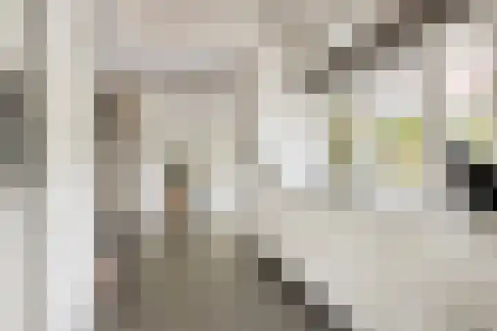 Erik Herfststraat 5 Waalwijk thumbnail 19