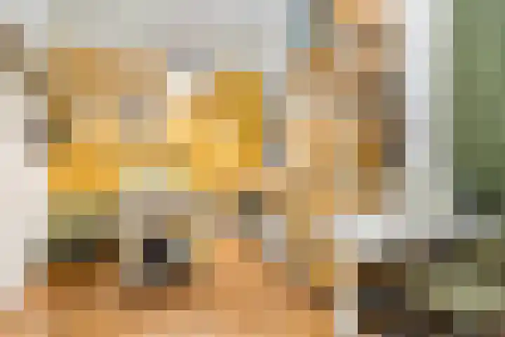 Erik Herfststraat 5 Waalwijk thumbnail 34