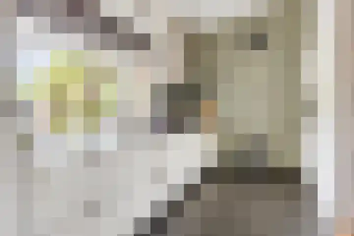 Erik Herfststraat 5 Waalwijk thumbnail 4