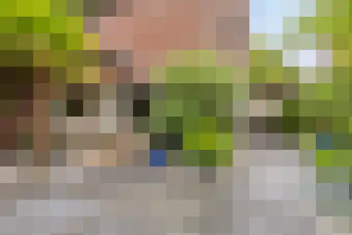 Erik Herfststraat 5 Waalwijk thumbnail 5