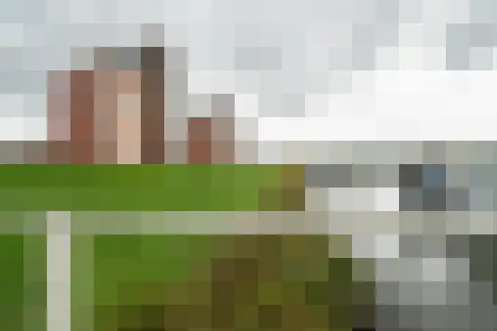 Erik Pinksterblomstraat 34 Oosterhout thumbnail 38