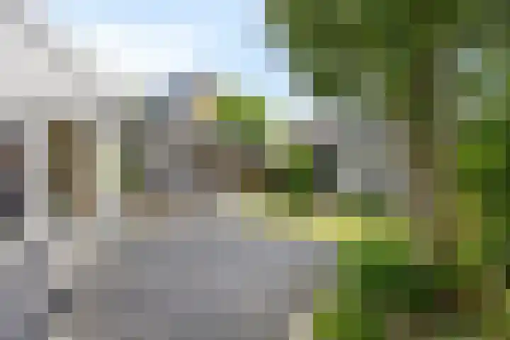 Eriksstraat 51 Petten thumbnail 44