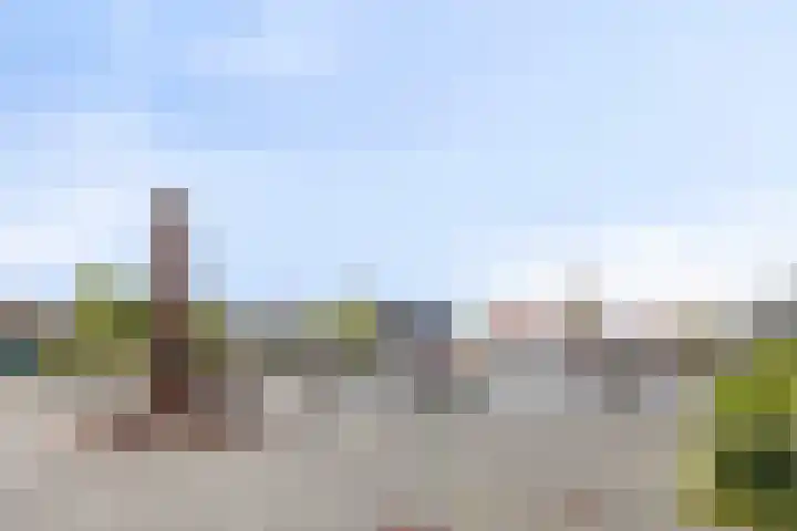 Eriksstraat 51 Petten thumbnail 50