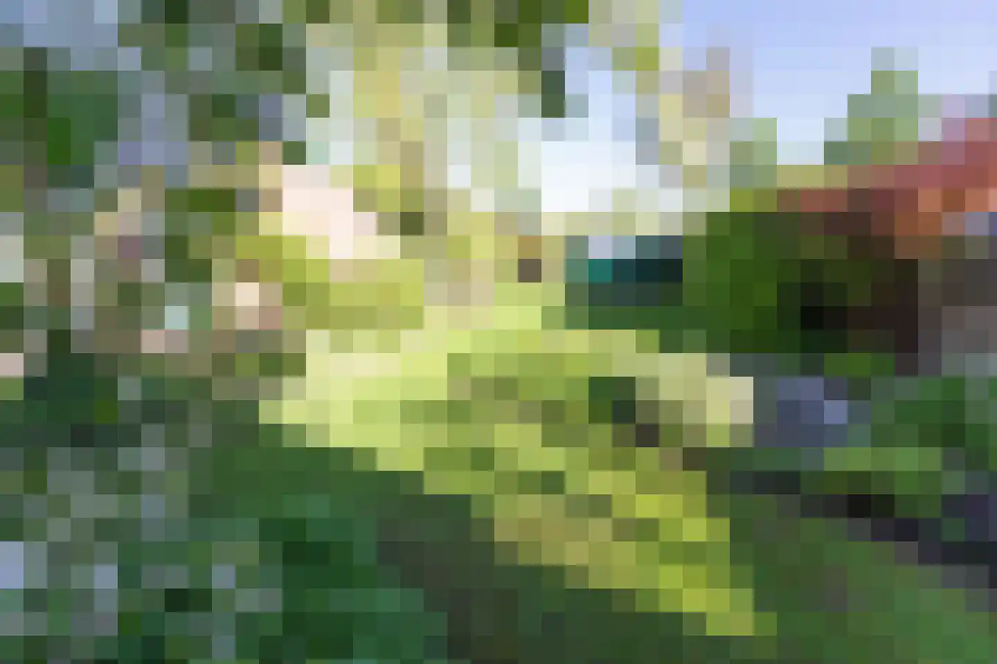 Eringalaan 11 Buitenpost thumbnail 11