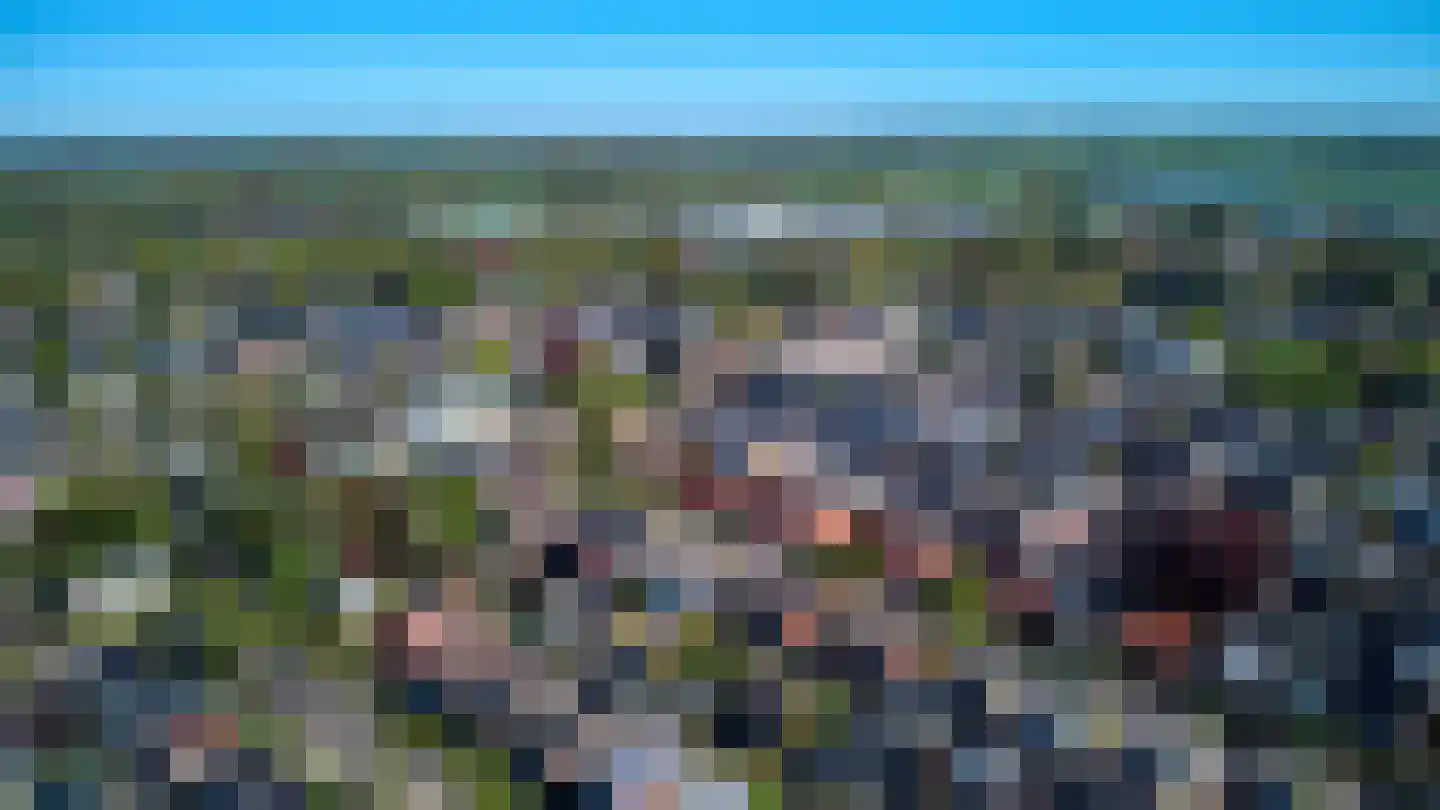 Eringalaan 11 Buitenpost thumbnail 13