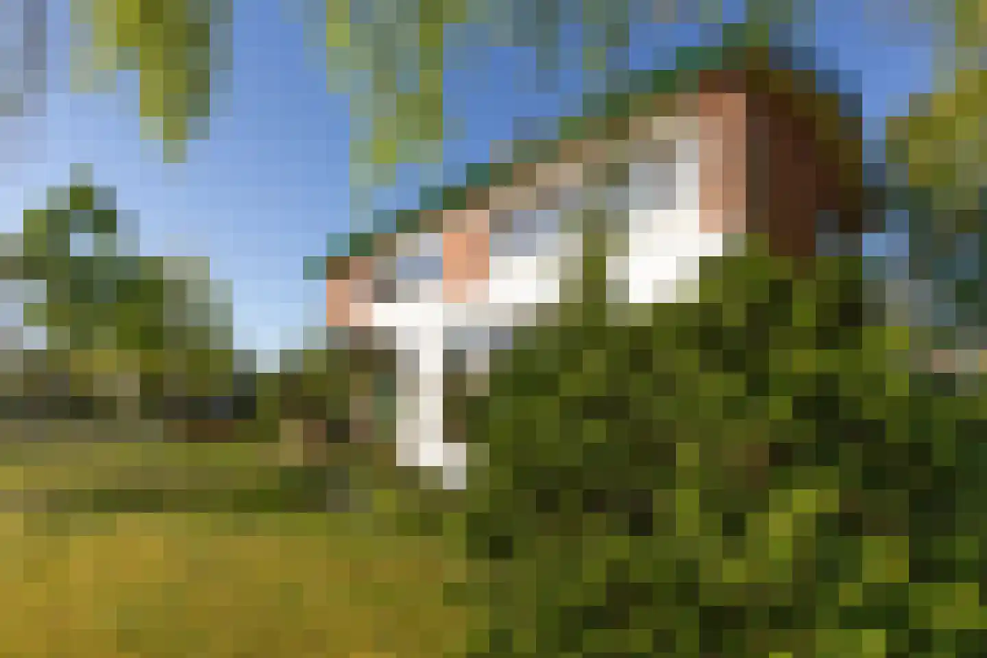 Eringalaan 11 Buitenpost thumbnail 20