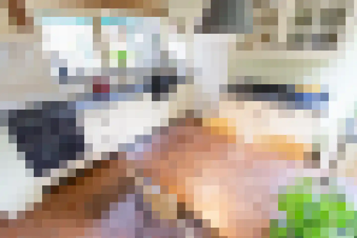 Eringalaan 11 Buitenpost thumbnail 29