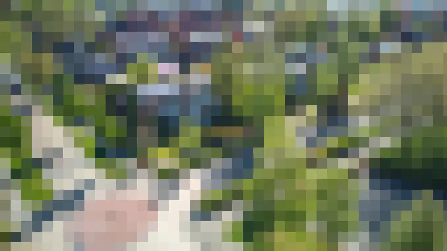 Eringalaan 11 Buitenpost foto 3