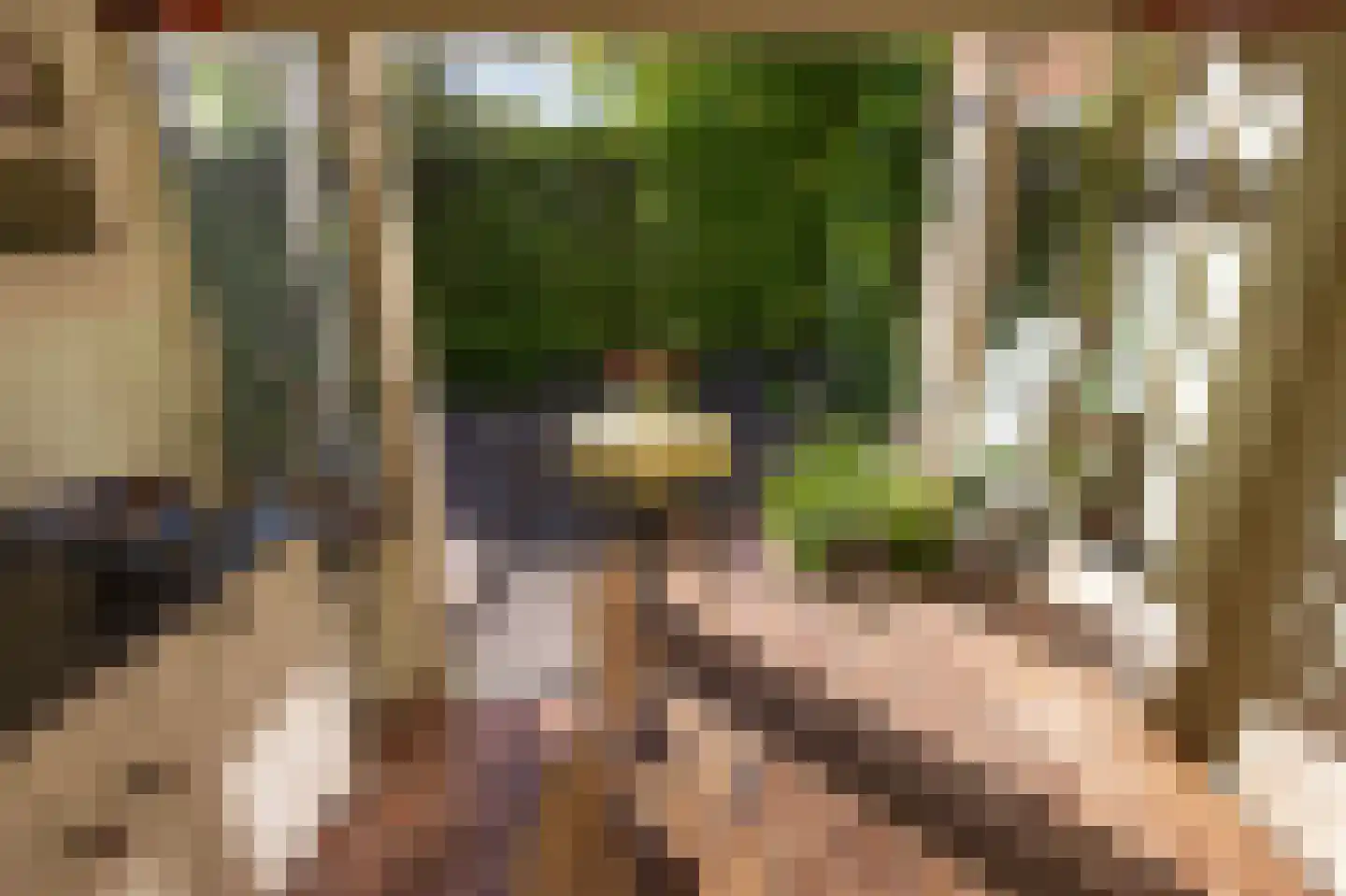Eringalaan 11 Buitenpost thumbnail 31