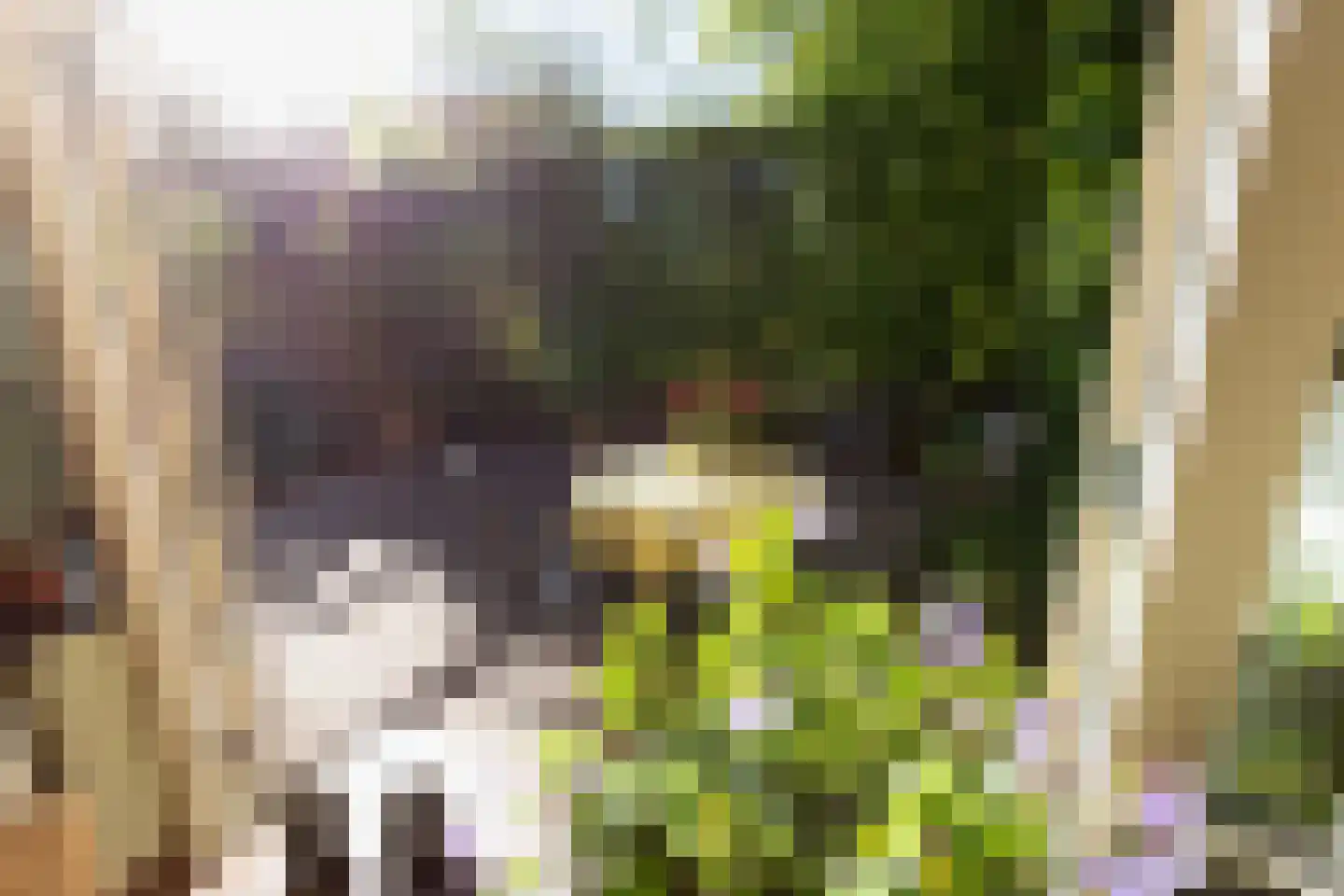 Eringalaan 11 Buitenpost thumbnail 32