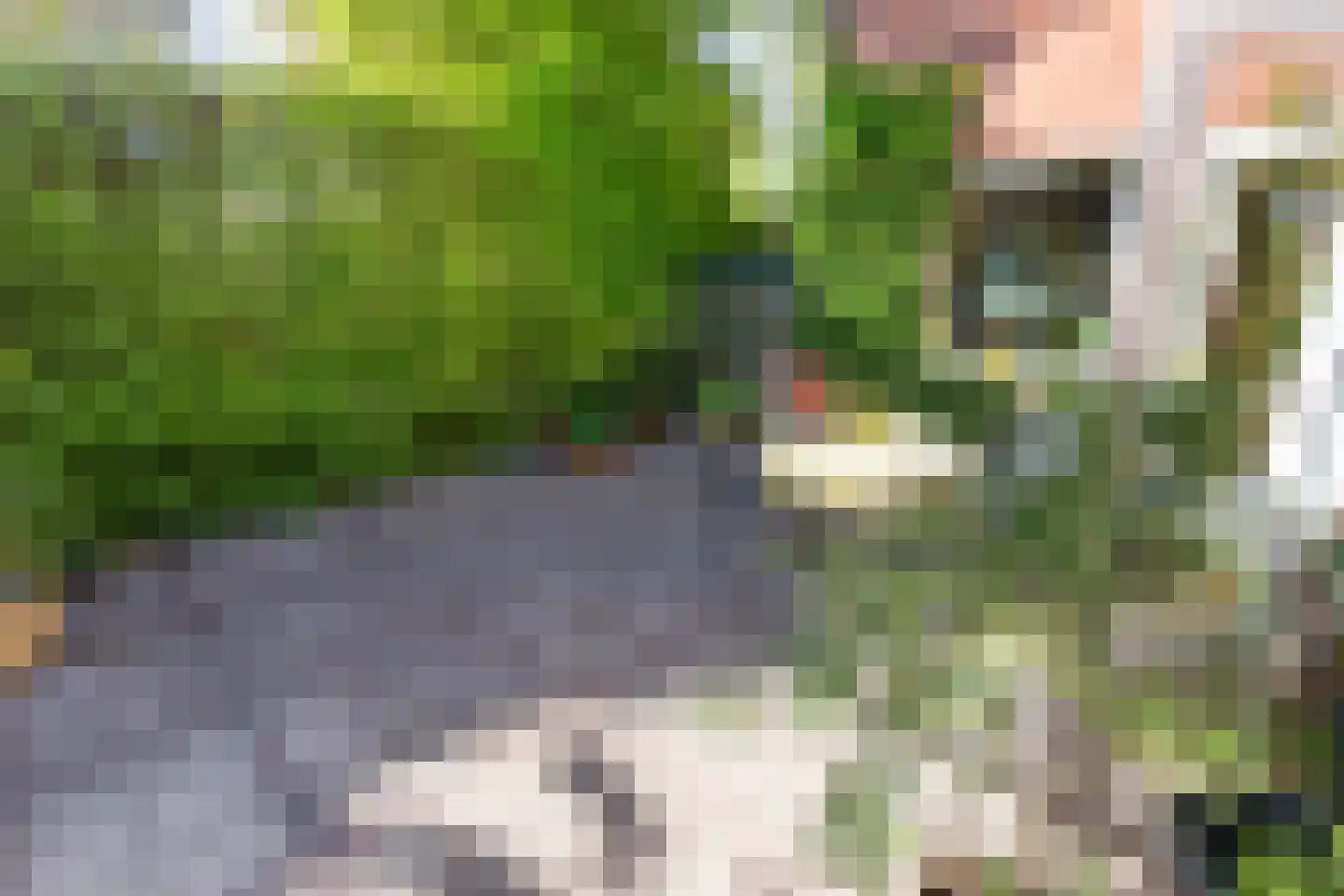 Eringalaan 11 Buitenpost thumbnail 34