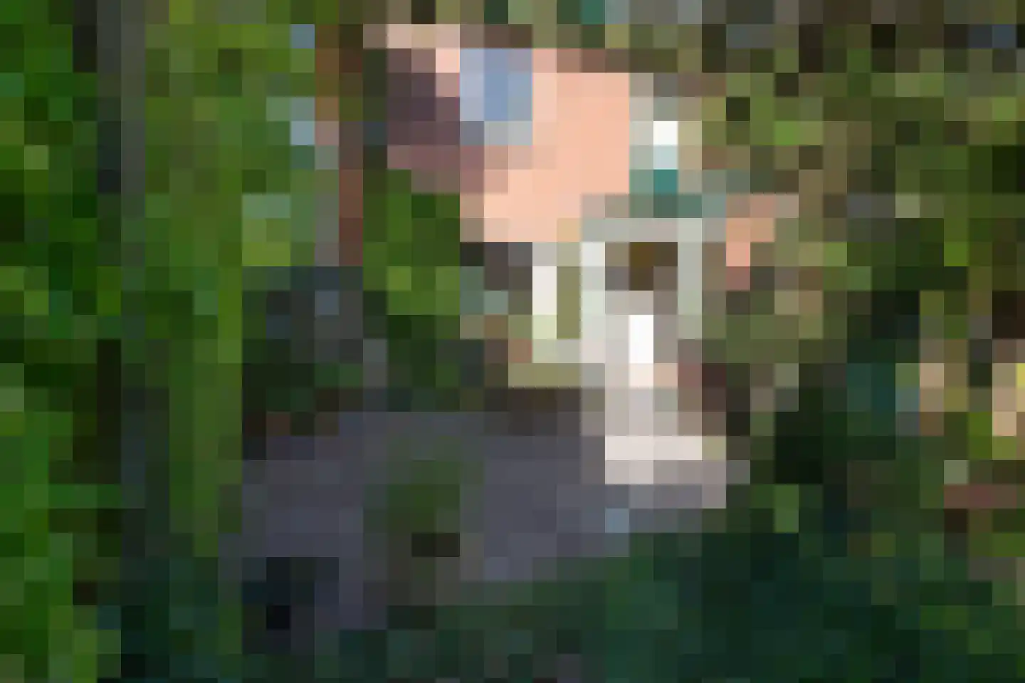 Eringalaan 11 Buitenpost thumbnail 35