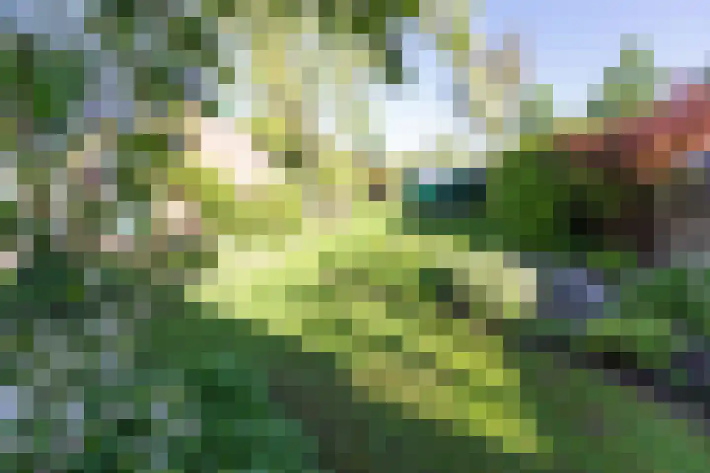 Eringalaan 11 Buitenpost thumbnail 37