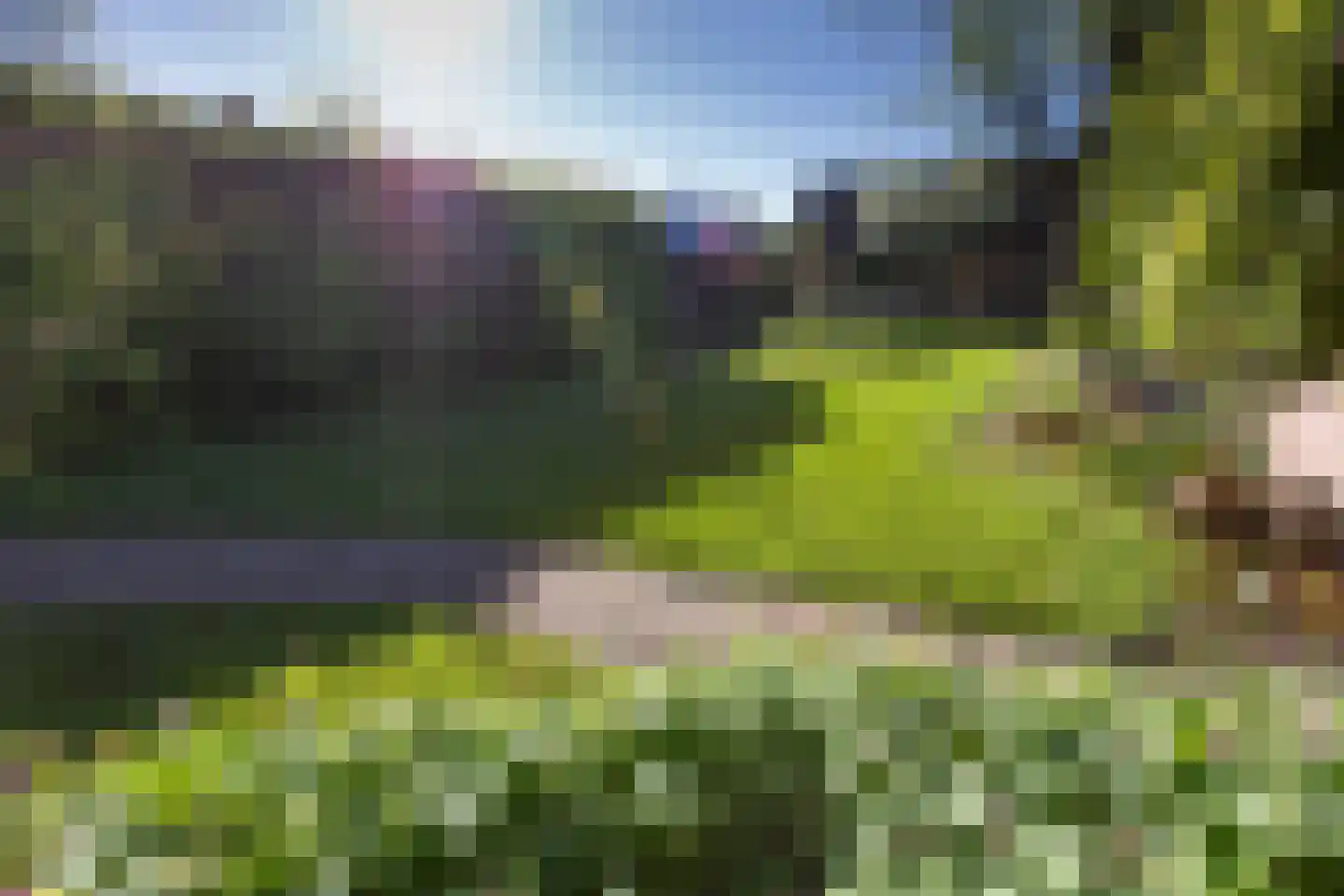 Eringalaan 11 Buitenpost thumbnail 38