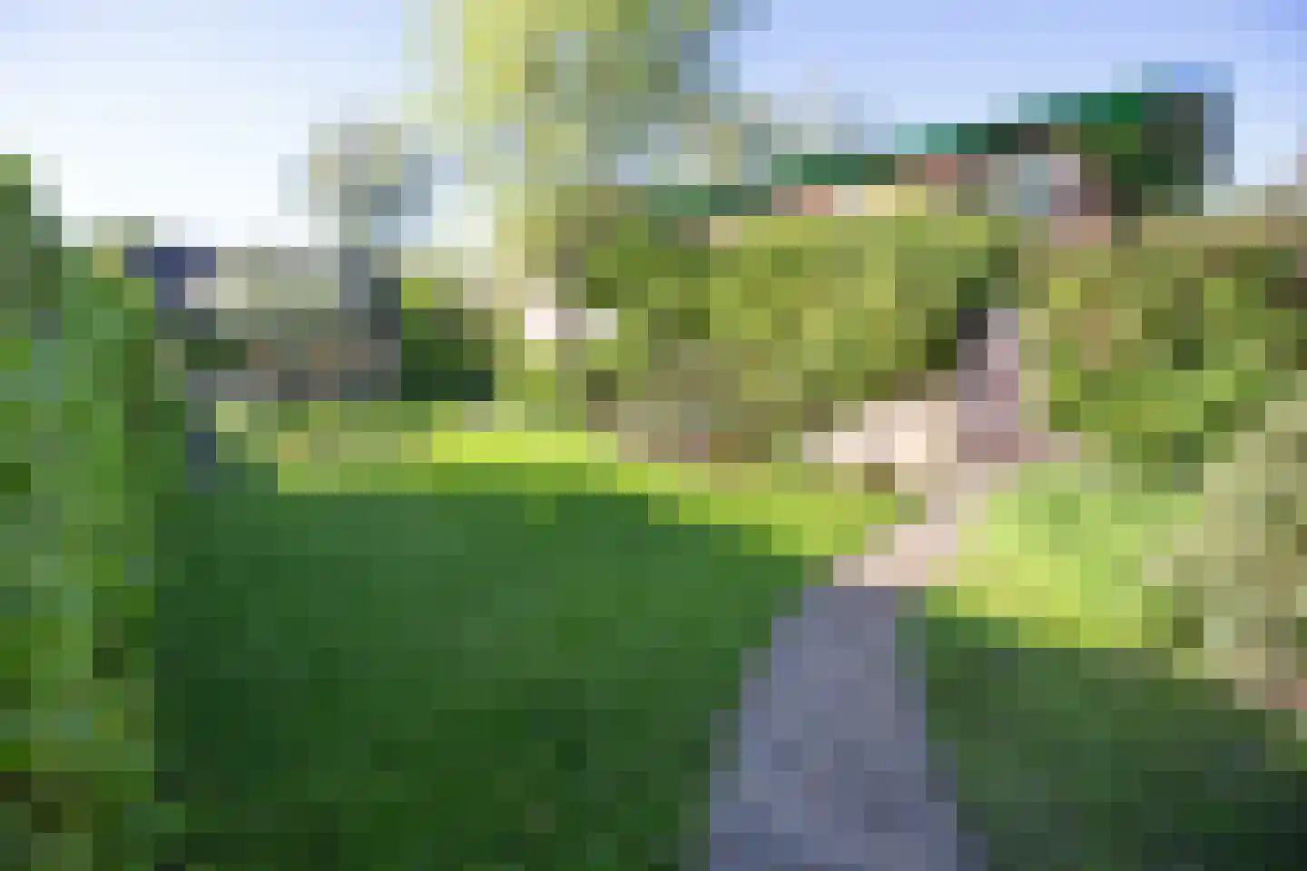 Eringalaan 11 Buitenpost thumbnail 39