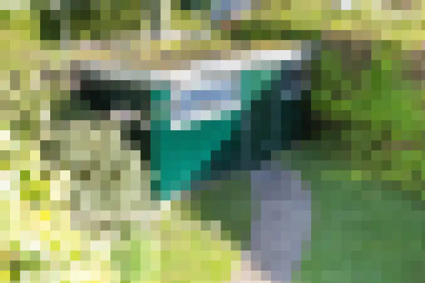 Eringalaan 11 Buitenpost thumbnail 40
