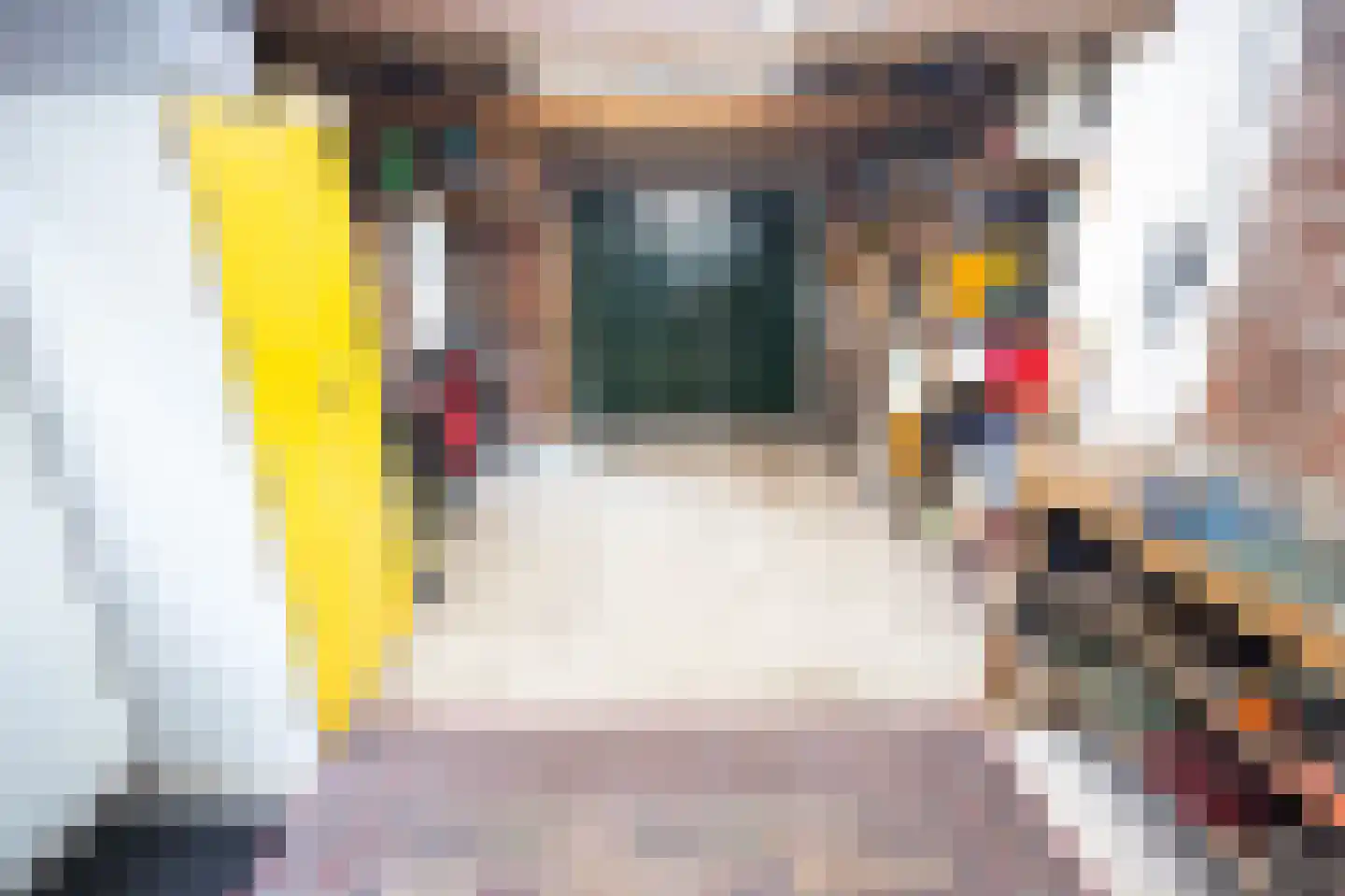Eringalaan 11 Buitenpost thumbnail 57