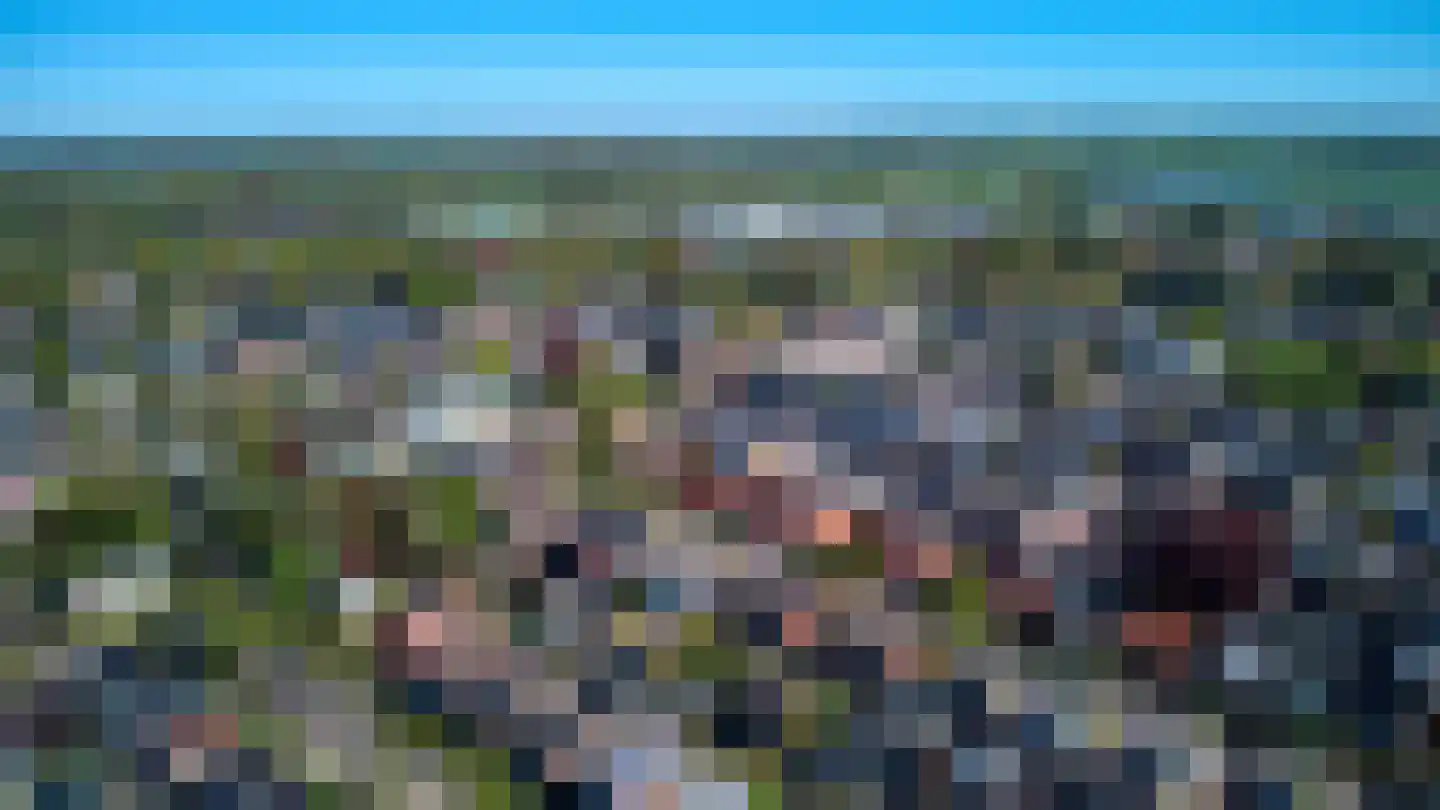 Eringalaan 11 Buitenpost thumbnail 62
