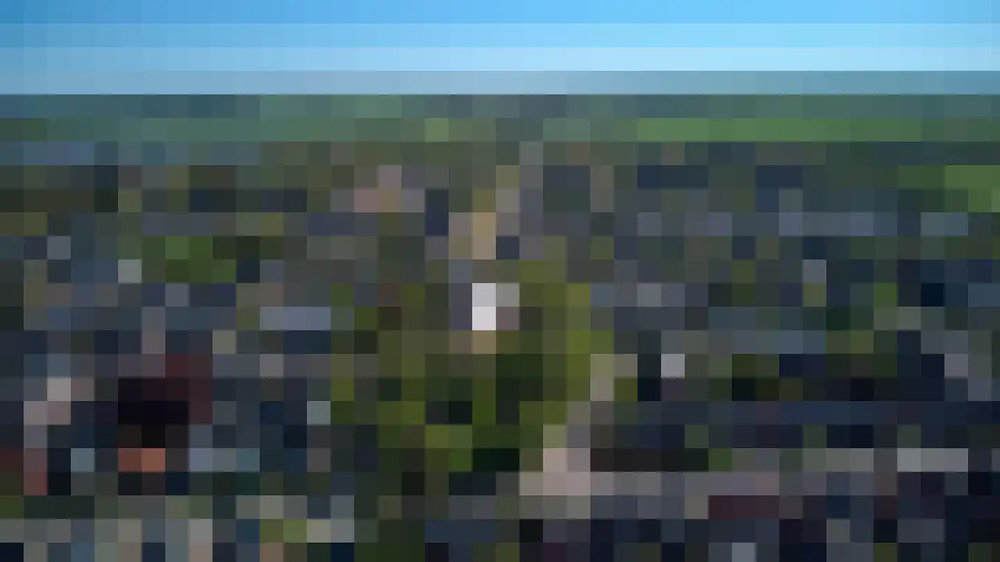 Eringalaan 11 Buitenpost thumbnail 63