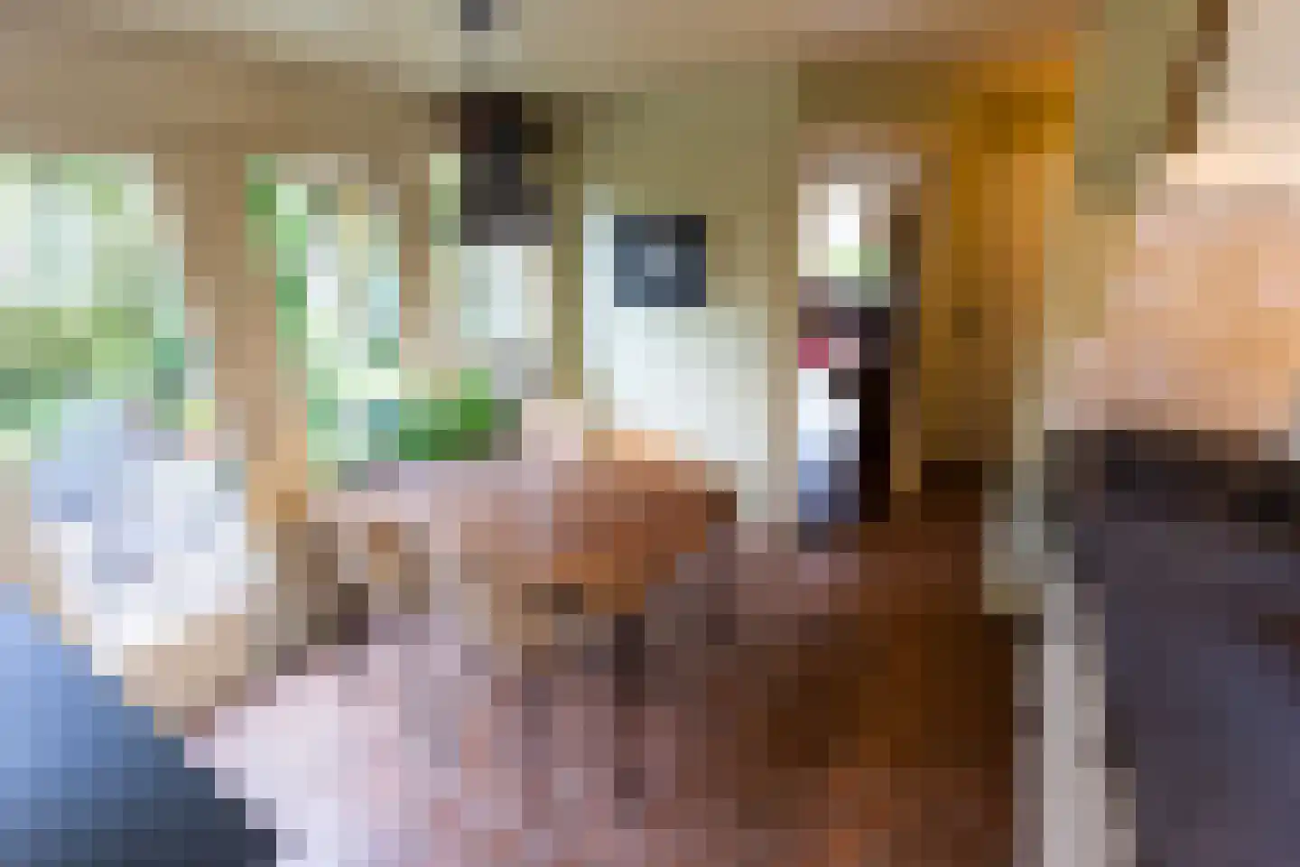 Eringalaan 11 Buitenpost thumbnail 8