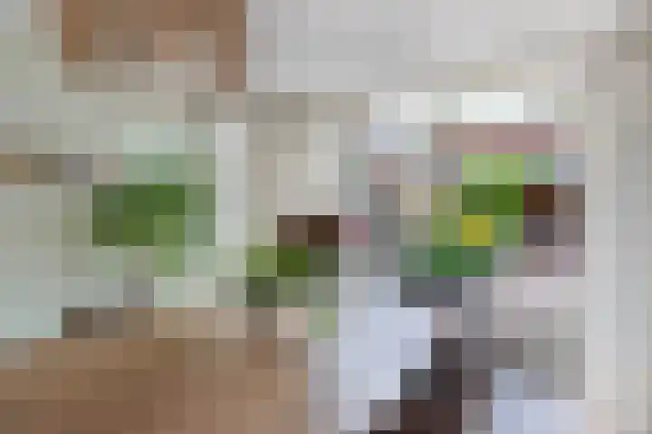 Eringastraat 15 Drachten thumbnail 12