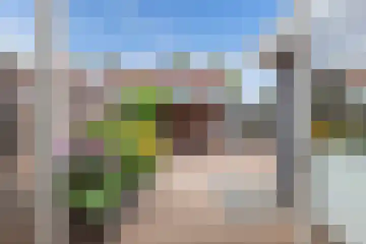 Eringastraat 15 Drachten thumbnail 13