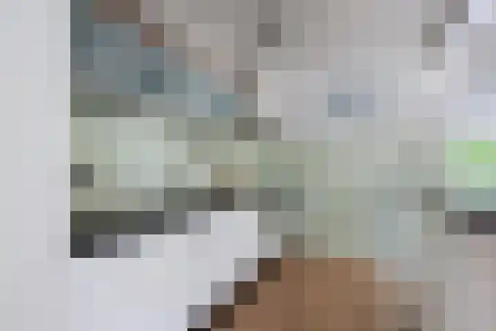 Eringastraat 15 Drachten thumbnail 15