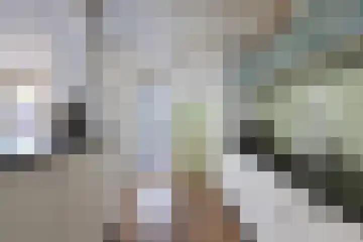 Eringastraat 15 Drachten thumbnail 16