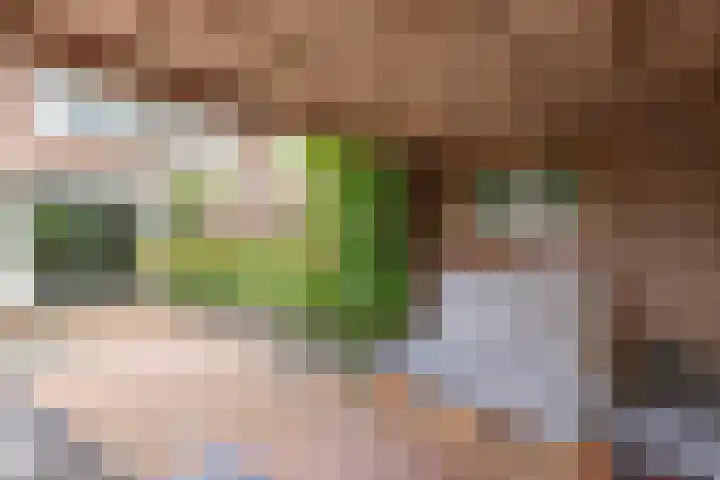 Eringastraat 15 Drachten thumbnail 24