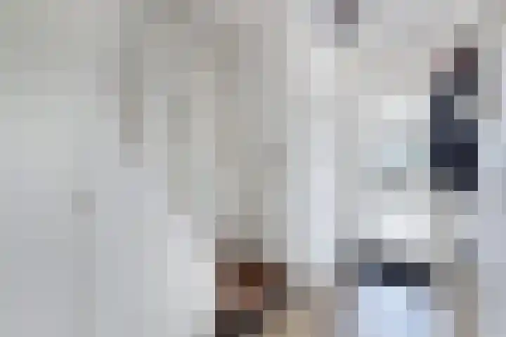 Eringastraat 15 Drachten thumbnail 28
