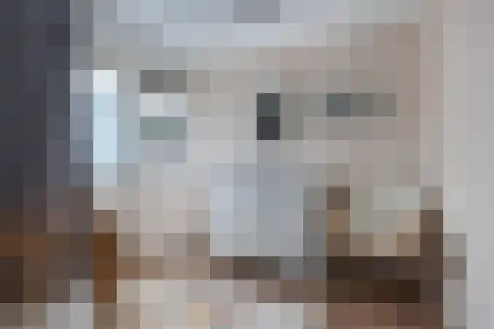 Eringastraat 15 Drachten thumbnail 29