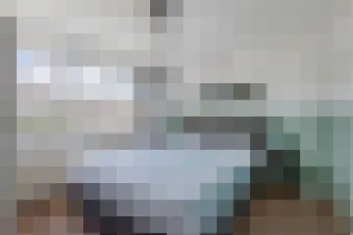 Eringastraat 15 Drachten thumbnail 33